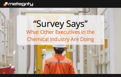 Survey Says - What Other Executives in the Chemical Industry Are Doing