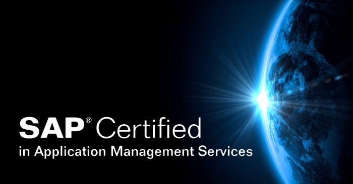 Visions Enterprise 5 - SAP Certified in Application Management Services