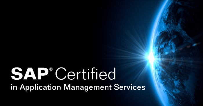 Visions Enterprise® 5 - SAP Certified in Application Management Services